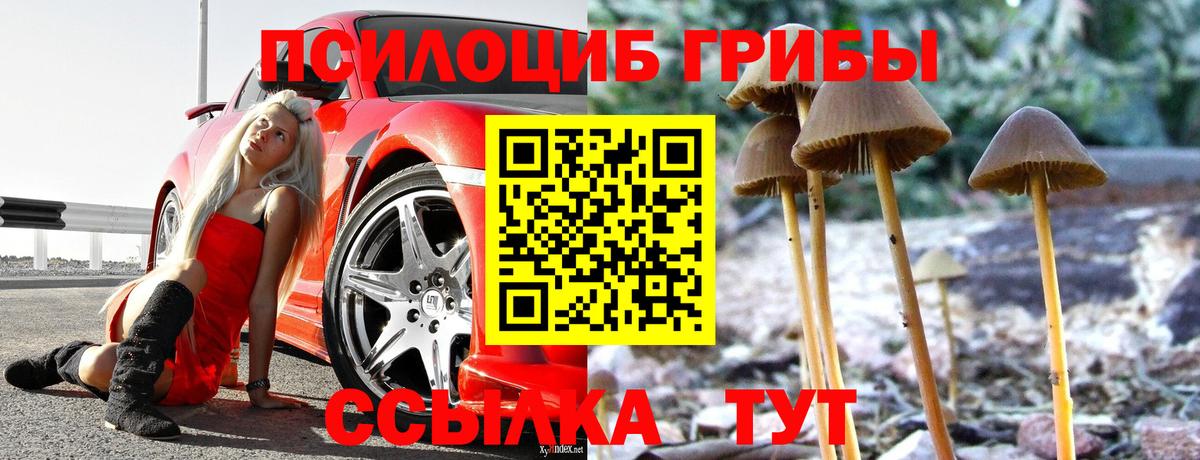 Галлюциногенные грибы ЛСД Ессентуки