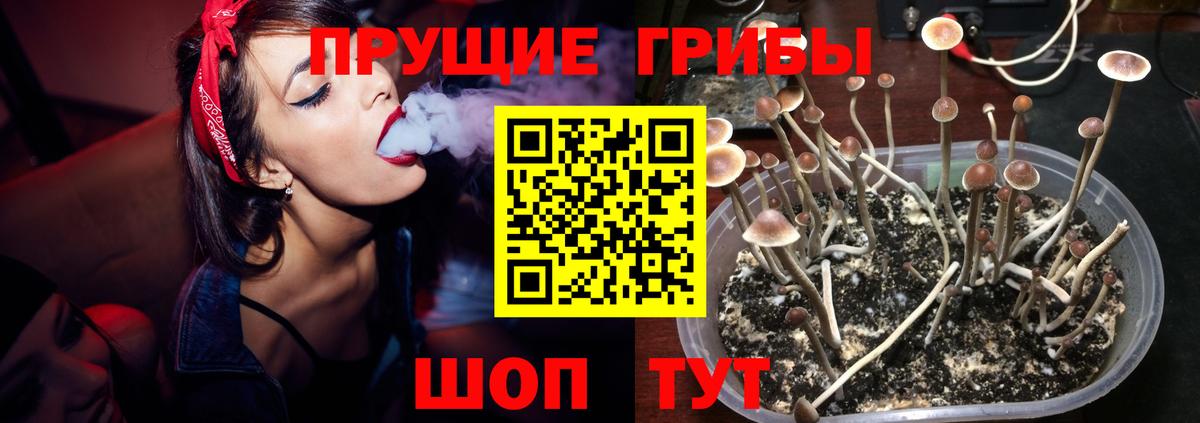 Ессентуки  Галлюциногенные грибы Magic Shrooms  Вход с VPN  Галлюциногенные грибы Magic Shrooms 
